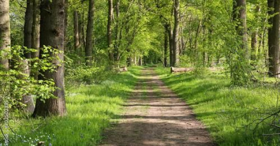 Adgang til veje og stier i det åbne land